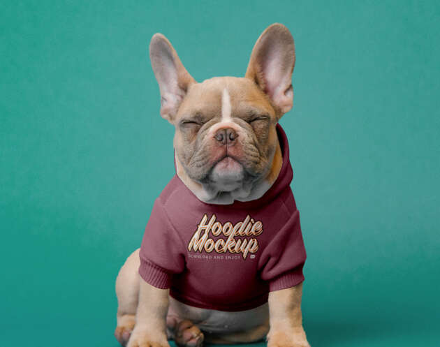 Free Dog Hoodie Mockup PSD